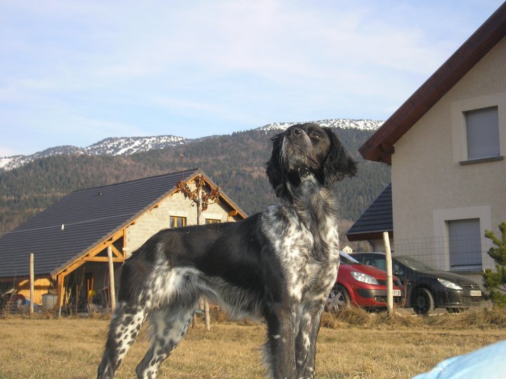 Cirka Du vallon de la rigaude