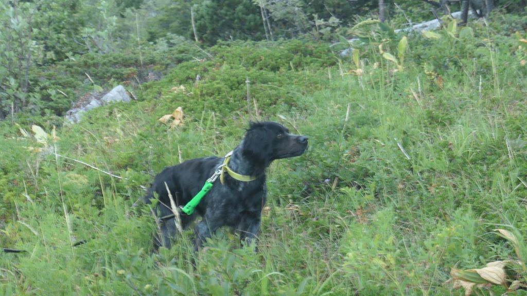 Jessy du Plateau des Ramées